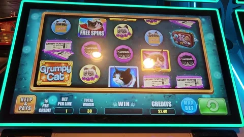 Grumpy Cat Slot Machine Casino Game Stock Footage 245025479