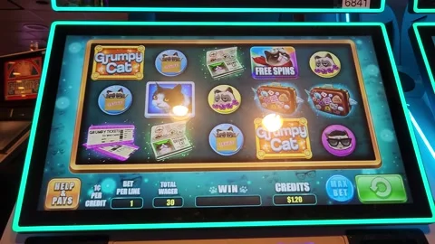 Grumpy Cat Slot Machine Casino Game Stock Footage 245025482