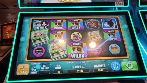 Grumpy Cat Slot Machine Casino Game Stock Footage 245025485