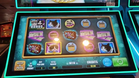 Grumpy Cat Slot Machine Casino Game Stock Footage 245025487