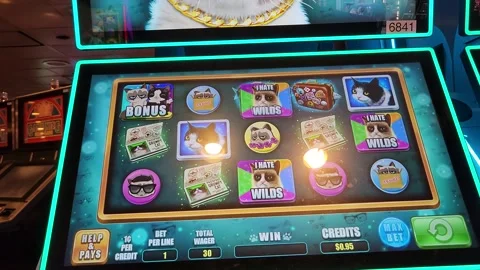 Grumpy Cat Slot Machine Casino Game Stock Footage 245025489