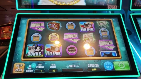 Grumpy Cat Slot Machine Casino Game Stock Footage 245025492