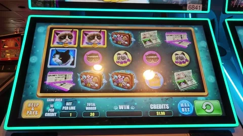 Grumpy Cat Slot Machine Casino Game Stock Footage 245025493