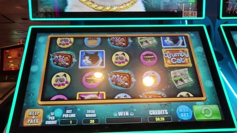 Grumpy Cat Slot Machine Casino Game Stock Footage 245025497