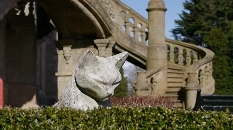 Grumpy Cat Statue Stock Footage 47998190