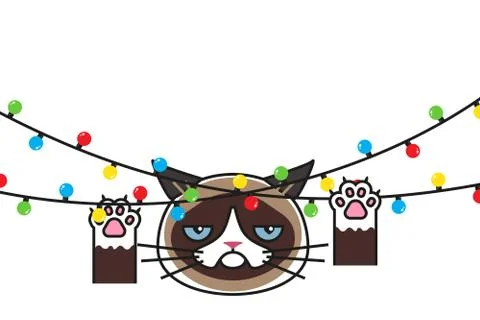 Grumpy cat surrounded by christmas lights on white Stock Illustration