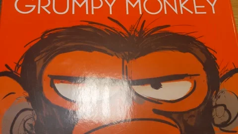 Grumpy Monkey Signage and Art Stock Footage 159304298