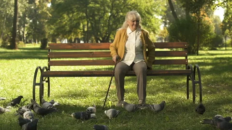 Grumpy old lady shooing away pigeons, sitting on bench in park, unhappy elderly Stock Footage 100207900