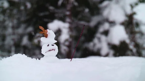 Grumpy Snow Man is Unhappy Stock Footage 100788488