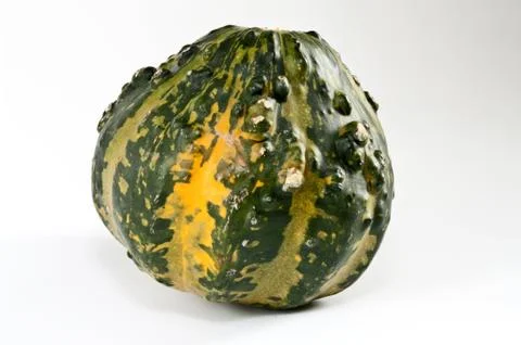 Grüner Kürbis Stock Photos