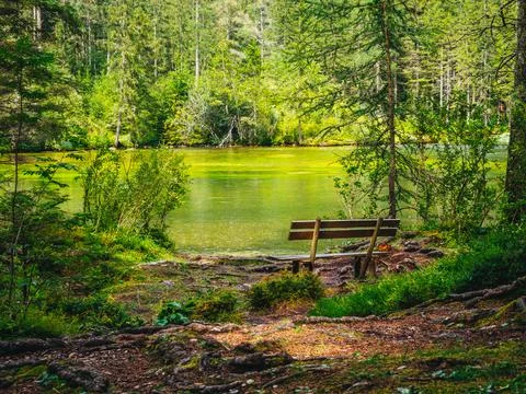 Grüner See Stock Photos