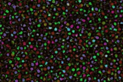 Grunge abstract background Stock Illustration