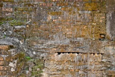 Grunge abstract background texture Stock Photos