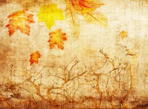 Grunge abstract fall background 库存照片