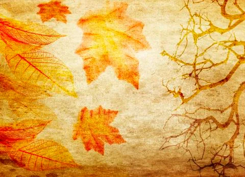 Grunge abstract fall background 库存照片