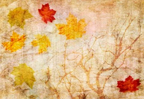 Grunge abstract fall  background 库存照片