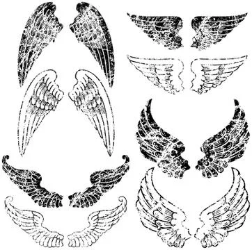 Grunge angel wings Illustration