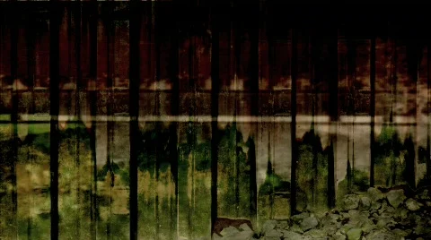 Grunge Background 2 Stock Footage 454279