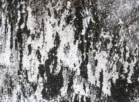 Grunge background and texture Stock Photos