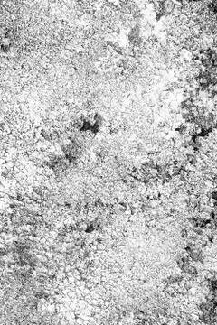 Grunge background black and white. Abstract monochrome texture. Pattern of cr Фото