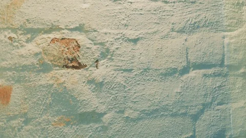 Grunge background, brick wall, cracked paint Stock Footage 80233455