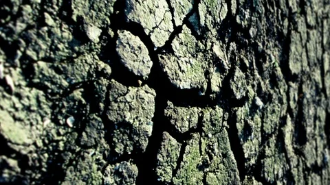 Grunge Background With Cracks Stock Footage 105408402