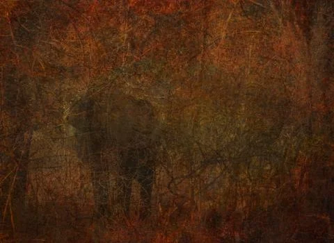 Grunge background with elephant Stock Photos