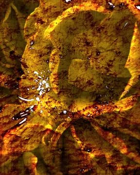 Grunge background Illustrazione stock