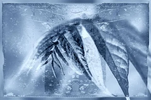 Grunge background Stock Illustration