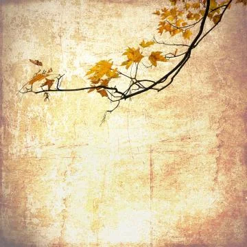 Grunge background with maple branches Stock Illustration