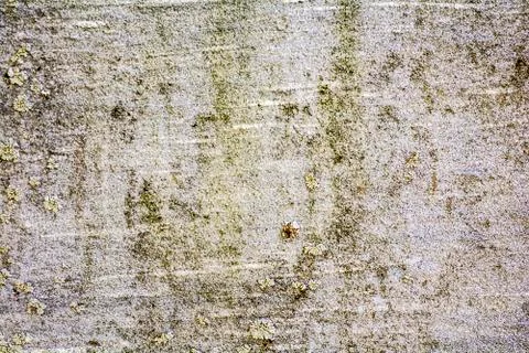 Grunge background overlay Stock Photos