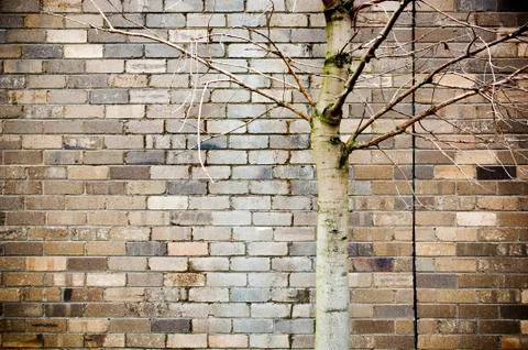 Grunge background Stock Photos