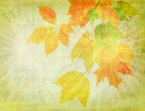 Grunge  background Stock Photos