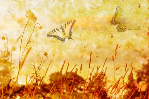 Grunge background Stock-Fotos