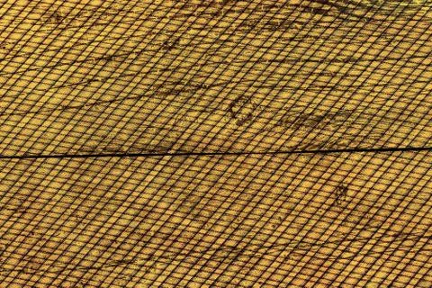 Grunge background Stock Photos