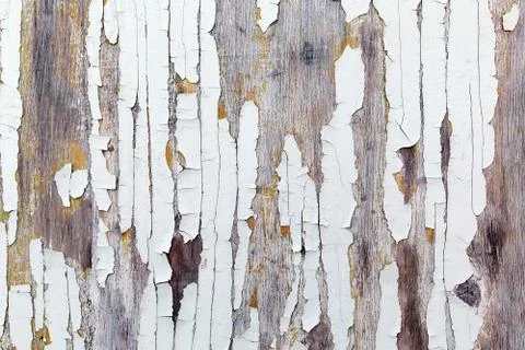 Grunge background