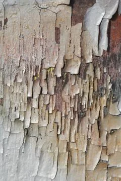 Grunge background Stock Photos