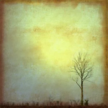 Grunge background with single tree and sun Stock Illustration
