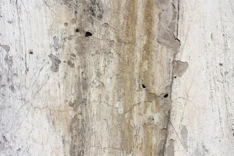 Grunge background with space for text or image 写真素材