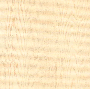 Grunge background with texture of paper Stock Photos