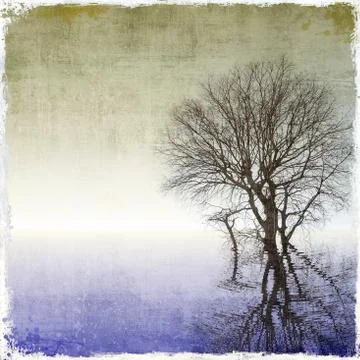 Grunge background with tree reflected in water Stock Illustration