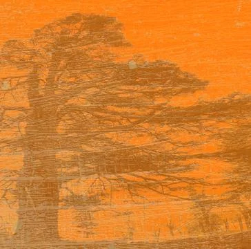 Grunge background with tree silhouette Stock Photos
