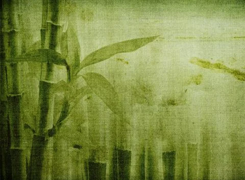 Grunge bamboo background Stock Photos