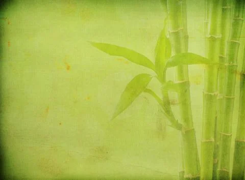 Grunge bamboo background Stock-Fotos