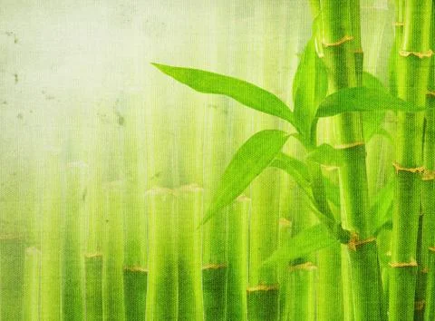 Grunge bamboo background Foto stock