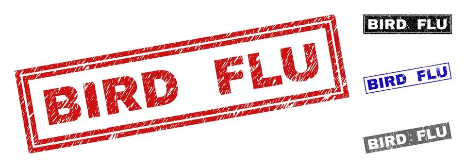 Grunge BIRD FLU Scratched Rectangle Stamp Seals Stock Illustration
