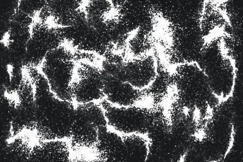 Grunge black and white pattern. Monochrome particles abstract texture. Backg Stock Illustration