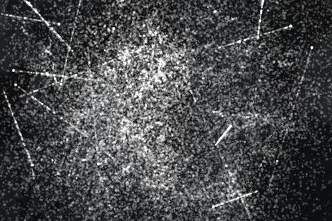 Grunge black and white pattern. Monochrome particles abstract texture. Stock Illustration