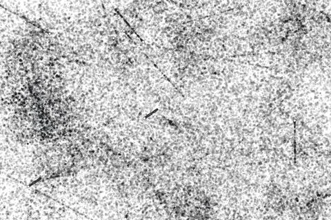 Grunge black and white pattern. Monochrome particles abstract texture Stock Illustration