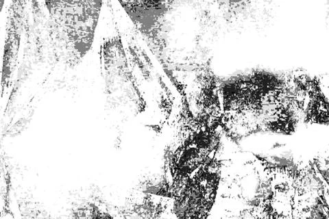 Grunge Black and White Texture. Abstract monochrome  background. 스톡 일러스트